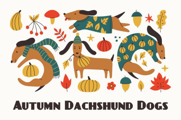 Download Autumn Dachshund Dogs PNG Clipart - Dog Collection